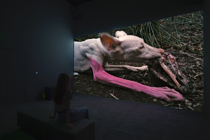 “答案都在艺术史里”——Beeple在南京呈现“来自人造未来的故事”