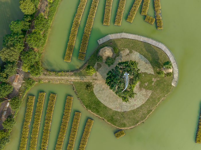 来广东南海大地艺术节，开“盲盒”，集印章，在水脉桑田间成为艺术的一部分！