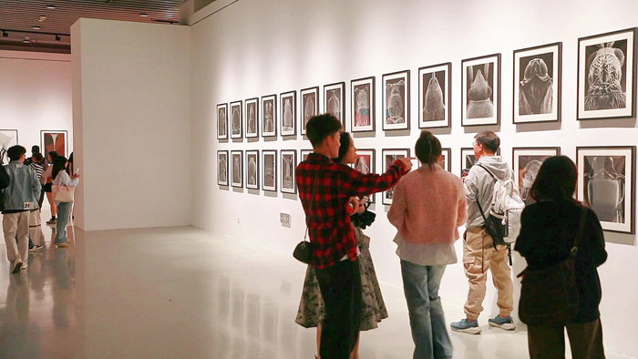 “相融共生：中德当代艺术展”江西省美术馆举行 对话总策划任戎