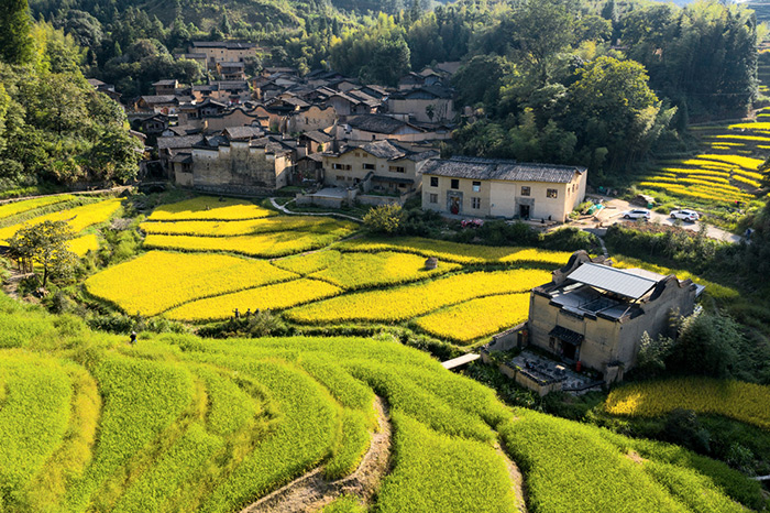 世间本无隐逸之路，只有生活——程美信专访