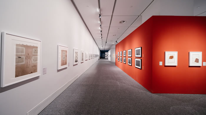 与博伊斯的跨时空对话：新绎美术馆《约瑟夫•博伊斯：7000个梦想》正式开幕