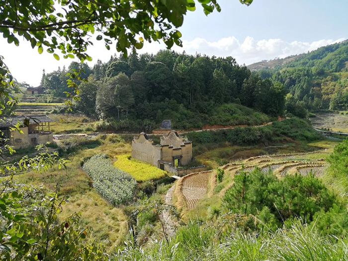 世间本无隐逸之路，只有生活——程美信专访