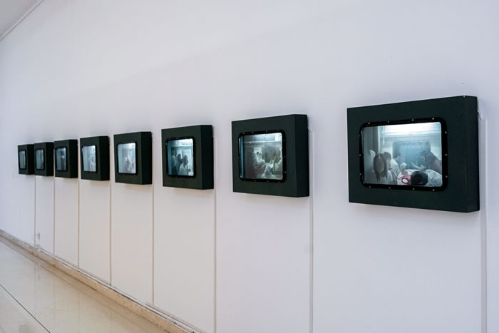 石家庄美术馆“重构视域”跨年展：当代语境下的“视域”再造与探索