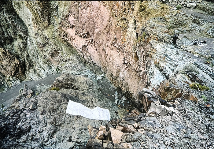 刘商英个展《绘画与游荡》：荒野与绘画的对话