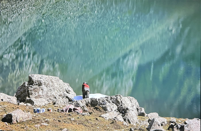 刘商英个展《绘画与游荡》：荒野与绘画的对话