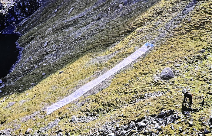 刘商英个展《绘画与游荡》：荒野与绘画的对话