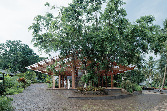 叶曼专访：致力在海南那雅村打造融合传统与现代的“创造力社区”