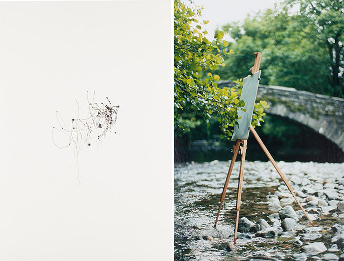 生态诗篇：艺术中的树木生命