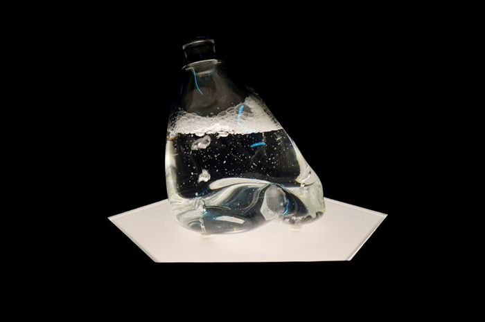 跨越边界的生命实验：安妮卡·易中国首展