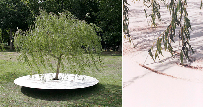 生态诗篇：艺术中的树木生命