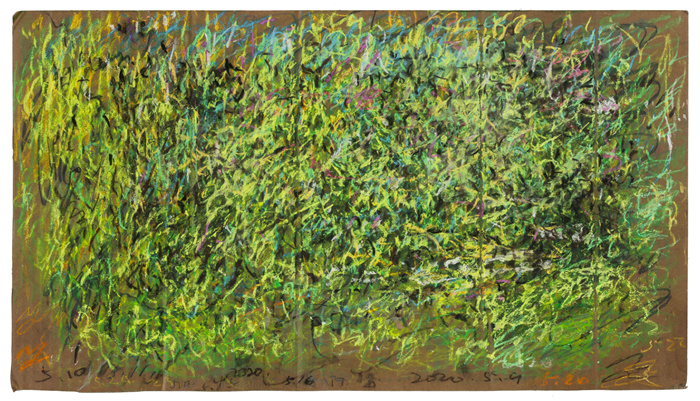 李玉双：走向源头，绚烂之极