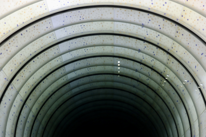 跨越边界的生命实验：安妮卡·易中国首展