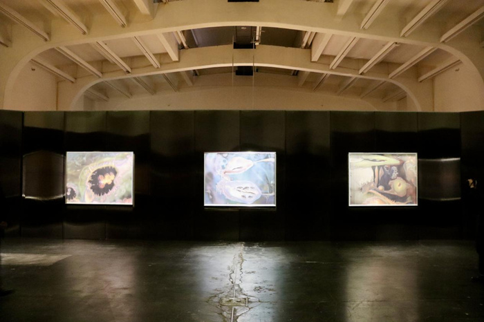 跨越边界的生命实验：安妮卡·易中国首展