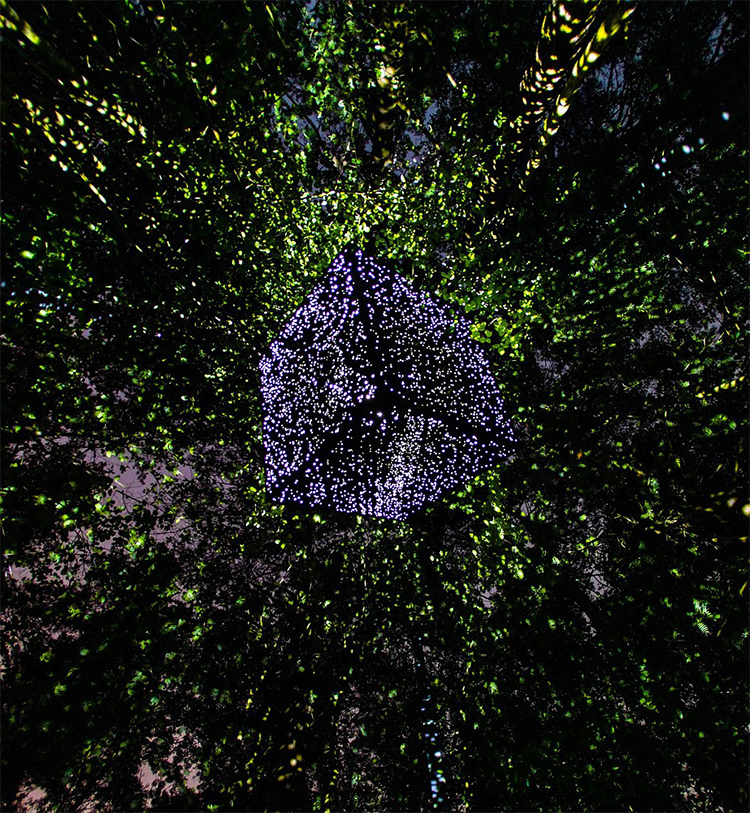 Hello! 月亮先生：Leonid Tishkov的深圳之旅