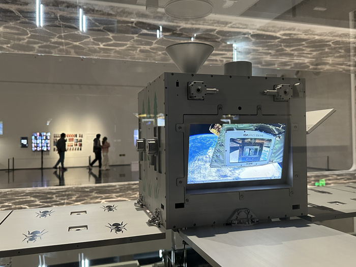 漂浮东钱湖的“夜航船”：徐冰和学生们的当代艺术“思想接力”