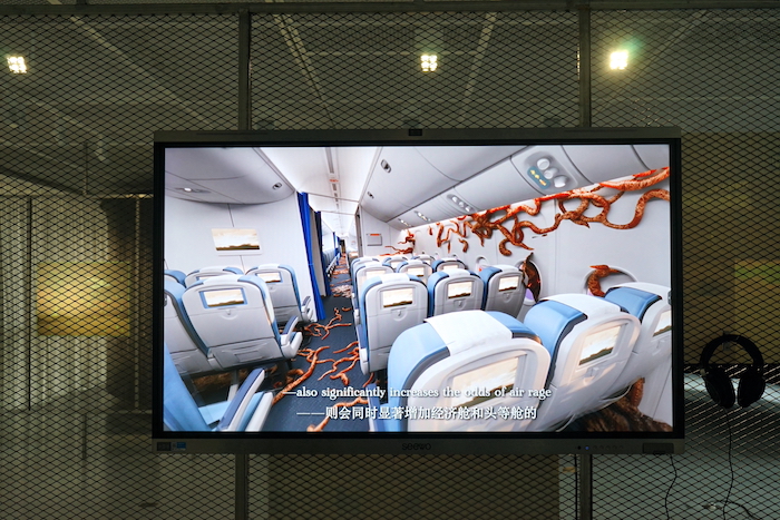 日月复光华：复旦大学艺术馆开馆！