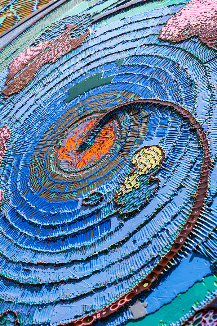 专访姜淼：黑白之外，刀刻下的宇宙秩序与生命对话