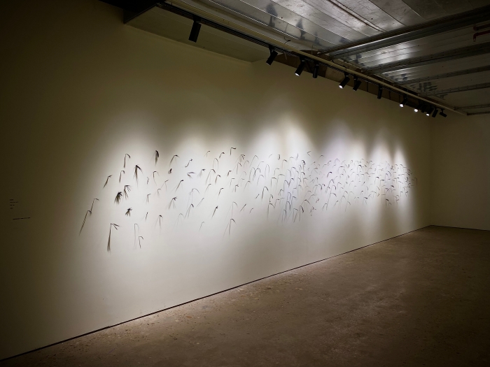 他用4年8个月15天为自己做了一件礼物