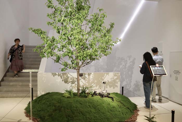 美院毕业展，为何如此“火”？