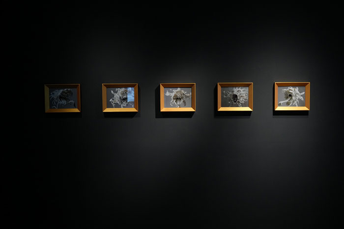 一展速览当下AI艺术的多元实践图谱——上海民生现代美术馆推出“国际人工智能艺术文献展”