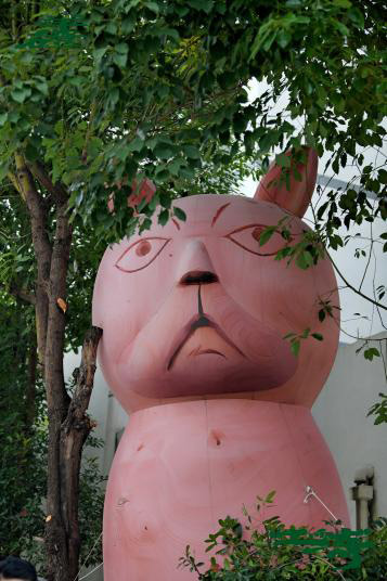 羊磴的乡土而新“气”