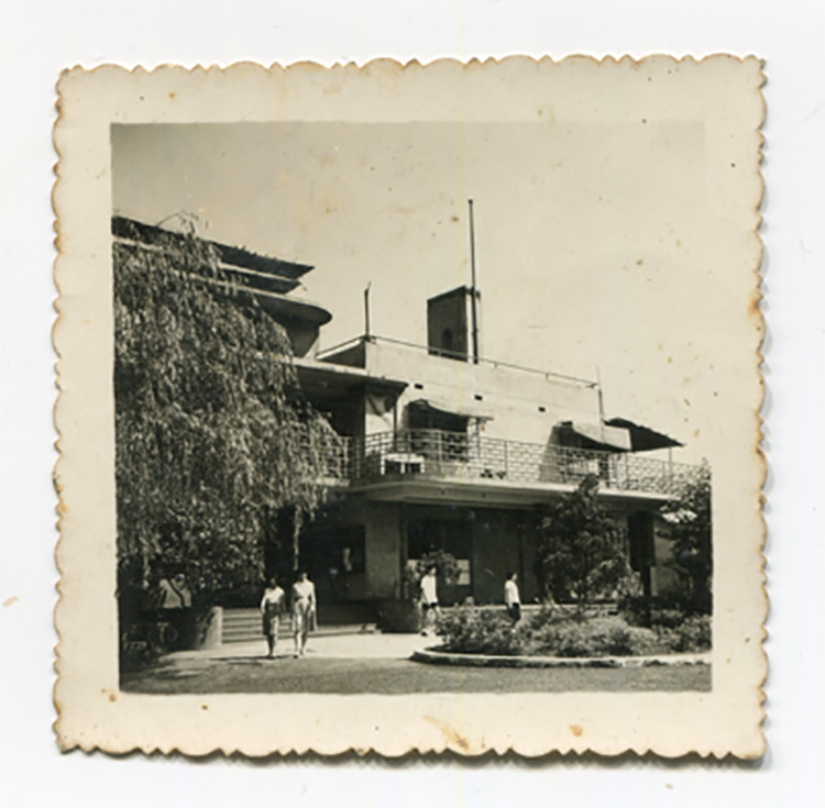 大量童年“细糠”来袭：上海美术电影动画片一次看个够