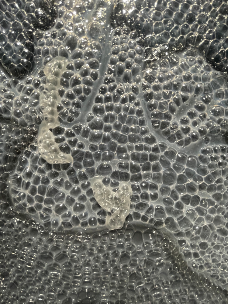 一首诗艺术生活中心开业 艺术+人文+商业呈现“沧之新境”