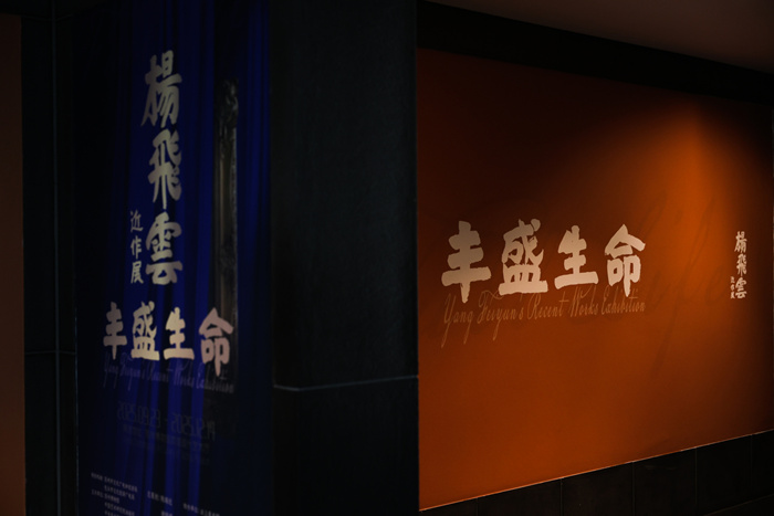 跨越20年 59件力作：杨飞云油画苏博绽放“丰盛生命”