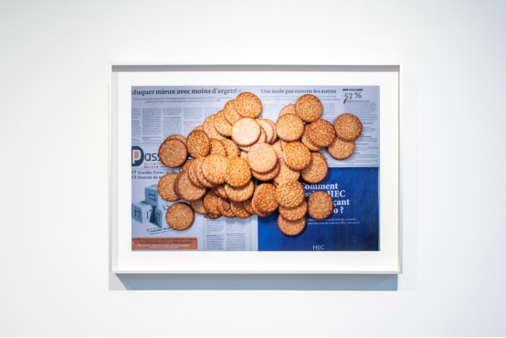 赵与林首个个展“即使它看起来像草”有边空间开幕