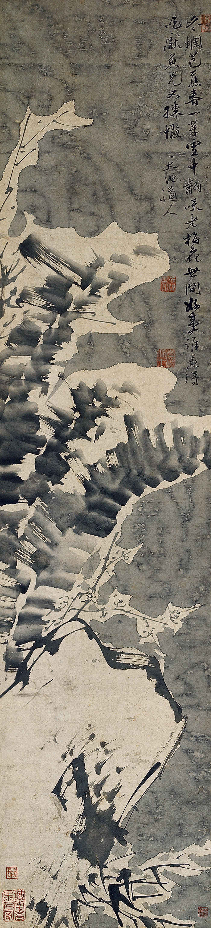 三家门下，看齐白石与徐渭、八大山人、吴昌硕三位“偶像”的超时空对话