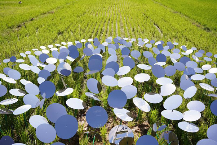 万物自得，艺术生长：走进广东蕉岭大地艺术季