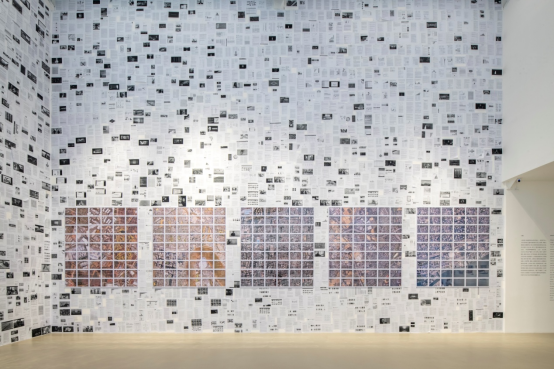 赵与林首个个展“即使它看起来像草”有边空间开幕