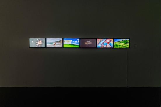 “带电的孩子”：当算法成为我们的“幻肢”